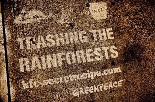 8-Greenpeace